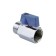 Balloon Aquasfera Euro 1033-01 mini, 1/2 ", pn 10, internal/outer thread, flag
