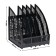 Capital, vertical, line, 5 departments, black