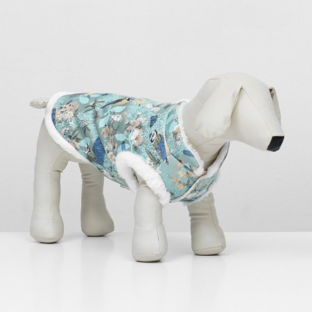 Dog jacket "Tenderness", size XS-1