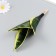 Artificial plant for the creativity of "Sansvieria compact" 23x9 cm