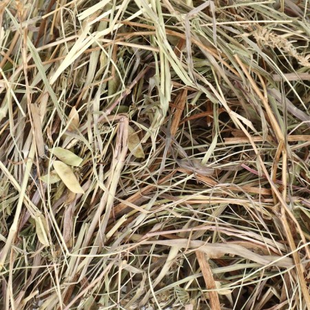 Lugovoi hay with clover "Piggon" for rodents, 20 l, 500 g-3