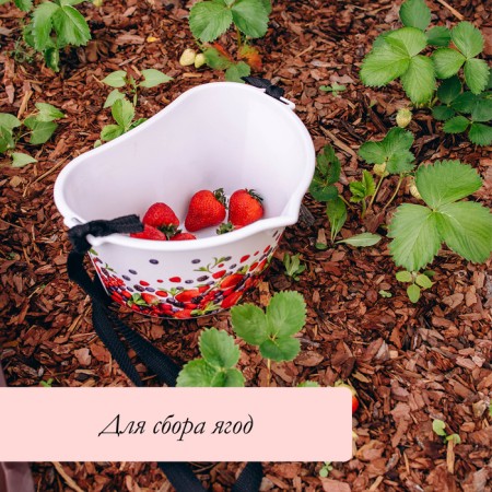 Container for collecting berries, 3 l, "berries", white-4