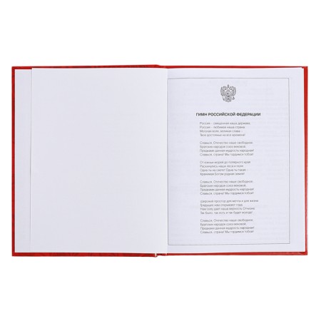 Diary for grades 5-11, 48 sheets of "Russian schoolchildren No. 3", solid cover, glossy lamination, block 60 g/m2-3