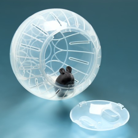 Ball for rodents "Pigger", 14.5 cm, transparent-2