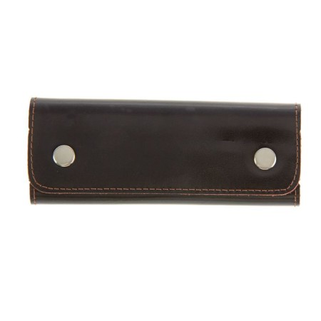Keys case, ring, brown color