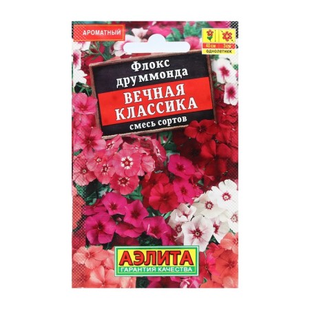 Flowers Flox "Eternal Classic", a mixture of varieties, 0.1 g