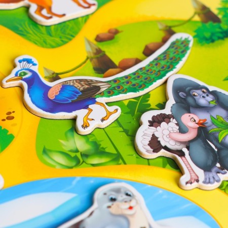 Magnetic designer-planet "Zoo"-4