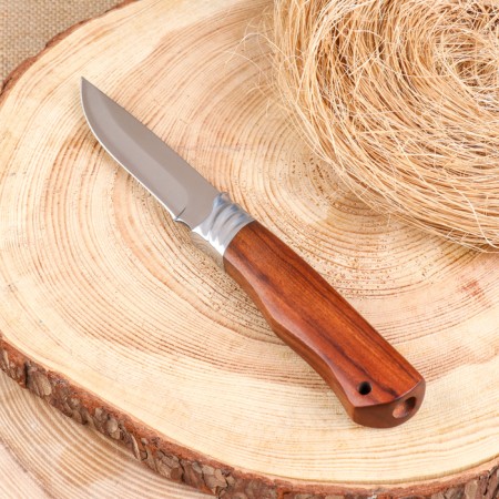 Hunting knife "Burgut" 21.5cm, blade 98mm/2.5mm, wooden hilt