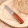 Hunting knife "Burgut" 21.5cm, blade 98mm/2.5mm, wooden hilt