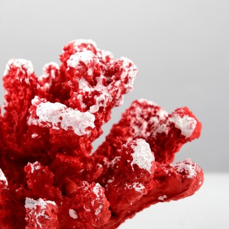 Interior souvenir "Coral" 13x11x8cm mix-2