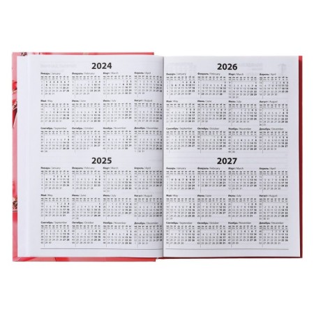 Diary is semi -dushed on a stitch, A5 160 sheets, cardboard 7BC, attributes of our time, glossy lamination-3