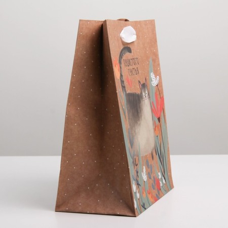 Package Gift Craft Vertical, packaging, “fluffy happiness”, MS 18 x 23 x 8 cm-2