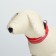 Collar with backlight double strip size S, Osh 35-43 x 2.5 cm, 3 glow modes Red 9772224