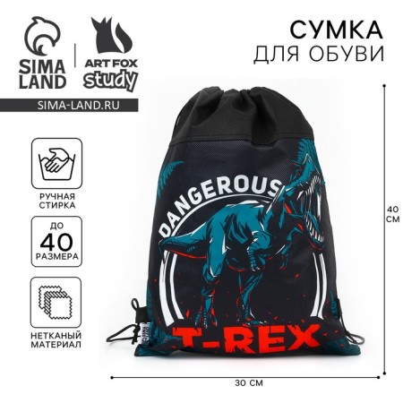 A bag for shoes t -rex, non-packed canvas, size 30 x 40 cm