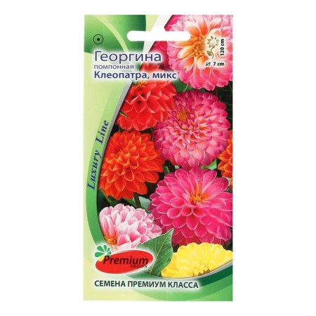 Flowers of Georgin Pomopone "Cleopatra", mix, 0.1 g