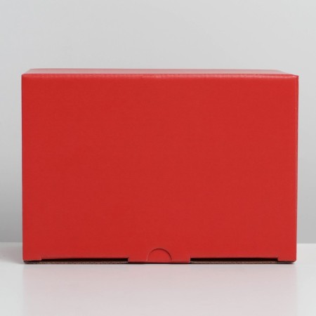 Gift folding box, packaging, “red”, 26 x 19 x 10 cm-5