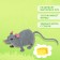 Figure-junk "Animals from all over the world", mix