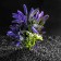 Artificial Aquarium plant, 14.5 x 13 x 13 cm