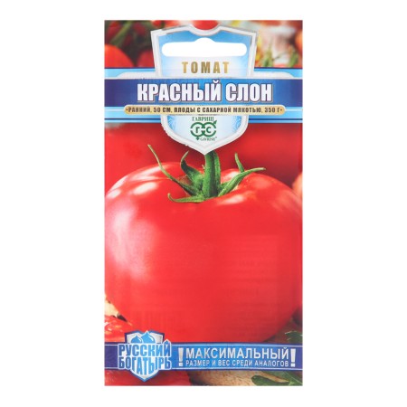 Tomato red elephant 0.05 g Series Russian hero N19