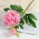 Artificial flowers "duo peony" 12x60 cm, pink