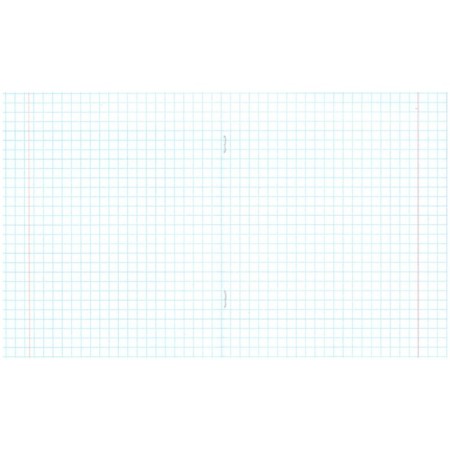 Notebook 12 sheets in a large cage "Green cover" Paper Factory, OFSET No. 1, 60 g/m2, Whiteness 96%-2