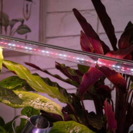LED phytolamp, 9 W, 600 mm, IP20, full spectrum, white-red, "era"-5