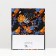 Laminated "Autumn View" package 26 x 32 x 12 cm