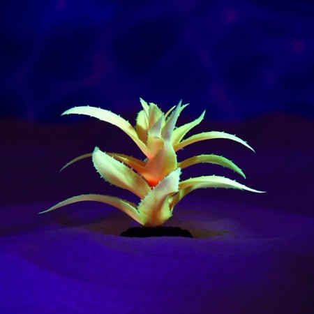 The artificial aquarium, luminous plant, 10 cm, red-3