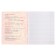 Subject note Calligrata Top "magazine", 48 sheets in the line Russian, with reference material, cardboard cover, glossy lamination, offset unit