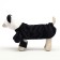 Costume "Panda", size L (DS 40, OG 53, Osh 30 cm, weight 10-15 kg)