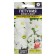 Flowers of Petunia "Limbo White", F1, this. ALT, c/n, 10 pcs