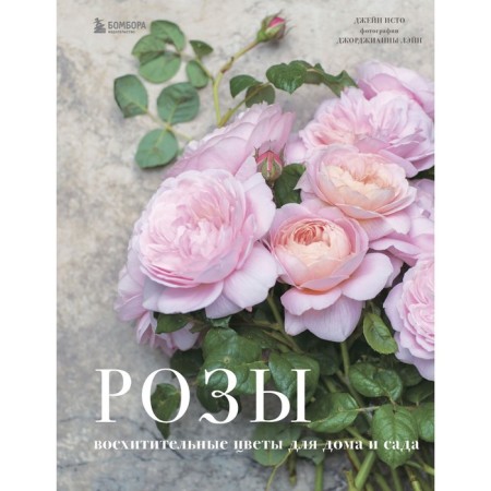 Roses. Amazing flowers for home and garden. Source Jane, Lane Georgianna