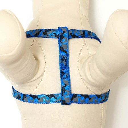The stolen set "Militari", leash 120 x 1 cm, OG 23-35 cm, blue-4