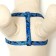 The stolen set "Militari", leash 120 x 1 cm, OG 23-35 cm, blue