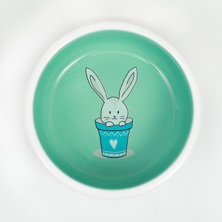Ceramic bowl for rabbits 200 ml 10 x 3.7 cm, mint/white-4