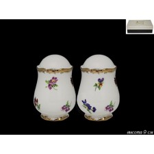 Set of lenardi salts 