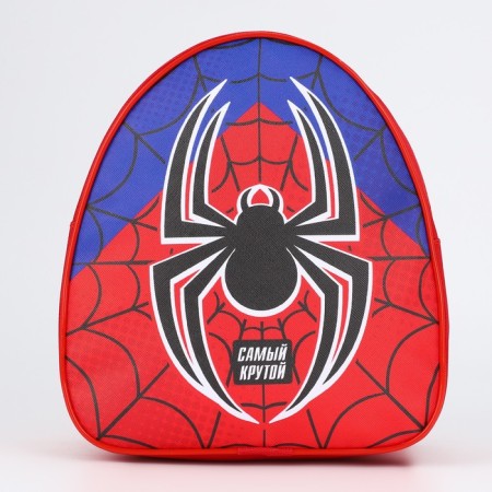 Baby backpack for the boy "Spider", district. 23x20.5 cm-1