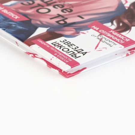 School diary 5-11 grade, in a solid cover, 48 liters. "Style"-1