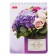 Notepad A6, 40 sheets on the crest "Flowers", cover coated cardboard, UV-lak, block 65 g/m2