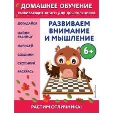 We develop attention and thinking. For children from 6 years old. Dincch B.