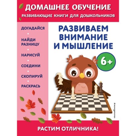 We develop attention and thinking. For children from 6 years old. Dincch B.