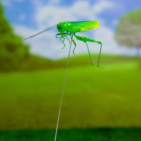 Squater "Green grasshopper" 3x5cm/22cm-3