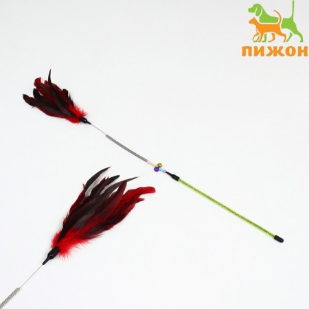 Drawing with feathers and 2 metal. tambourines and double pen (hard/flexible), 60 cm, mix