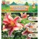 Lilia hybrid "Olympic Torsch", district 14/16, 2 pcs.