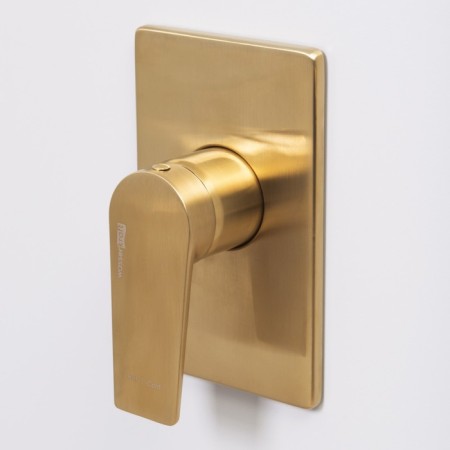Shower mixer Wasserkraft Abens 5551, single -legged, watering can, without spout, gold-2