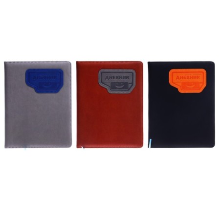 School diary for grades 5-11, PVC cover, "New", mix