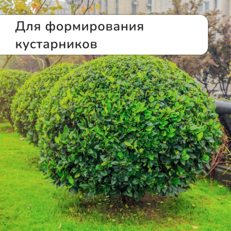 Kustorez, 21 "(55 cm), with metal handles, with a cover-1