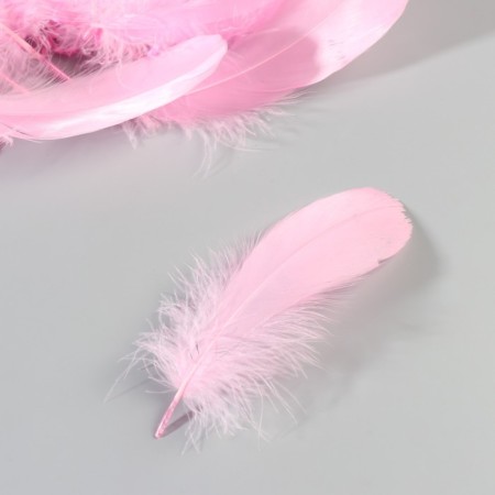 A set of goose feathers 13-18 cm, 20 pcs, bright pink-2