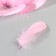 A set of goose feathers 13-18 cm, 20 pcs, bright pink