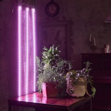 Lamp for plants LED linear, 1200 mm Uniel, 180 W, LED, IP65, Color transparent